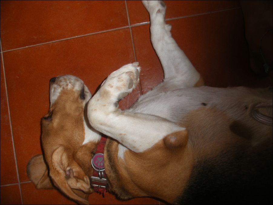 sardegna 2009 220